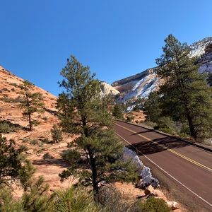 Meet your Posher, Karli